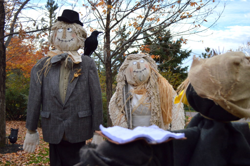 A crow marries two scarecrows. Photo: Nicole Kunze