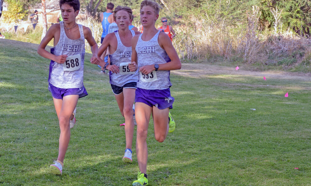 Lehi Boys 3rd, Falcons 5th At Region Meet - Lehi Free Press